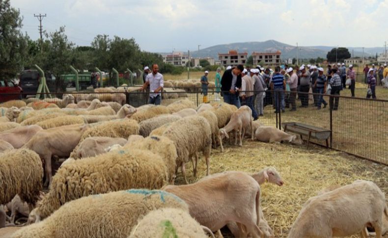 Kırsalda üretime can suyu