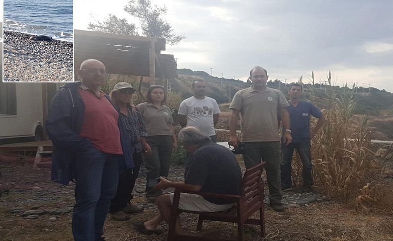 Yaralı Akdeniz foku denize geri döndü, kıyıda nöbet başladı