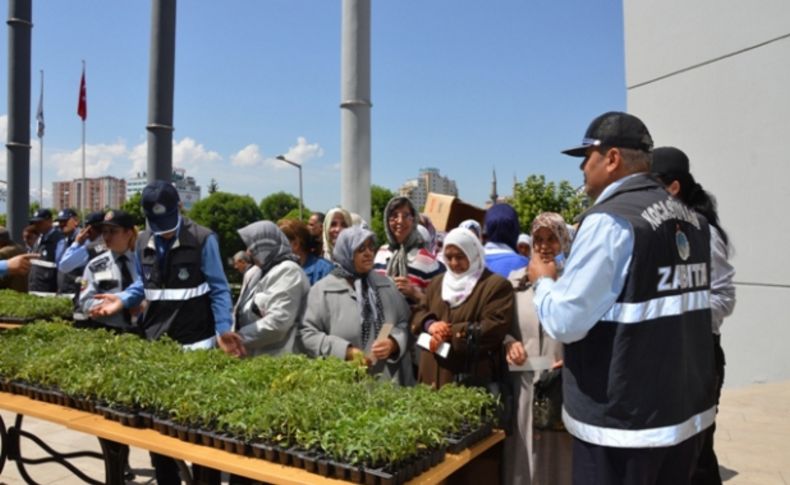 Kocasinan Belediyesi, organik domates fidesi dağıttı