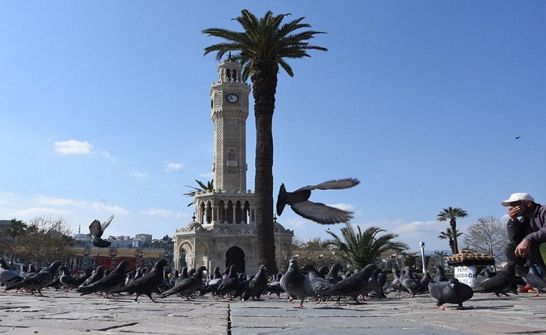 Konak Meydanı'nda güvercinler, aç kaldı