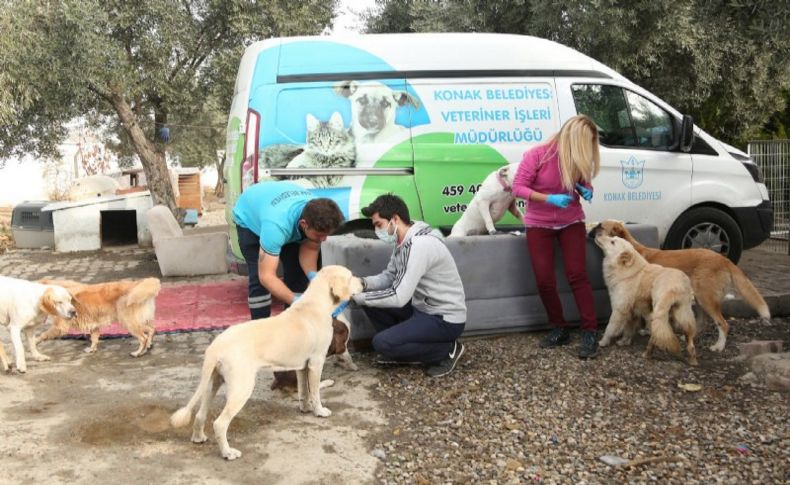 Konak'ta can dostlar için STK'larla işbirliğine devam