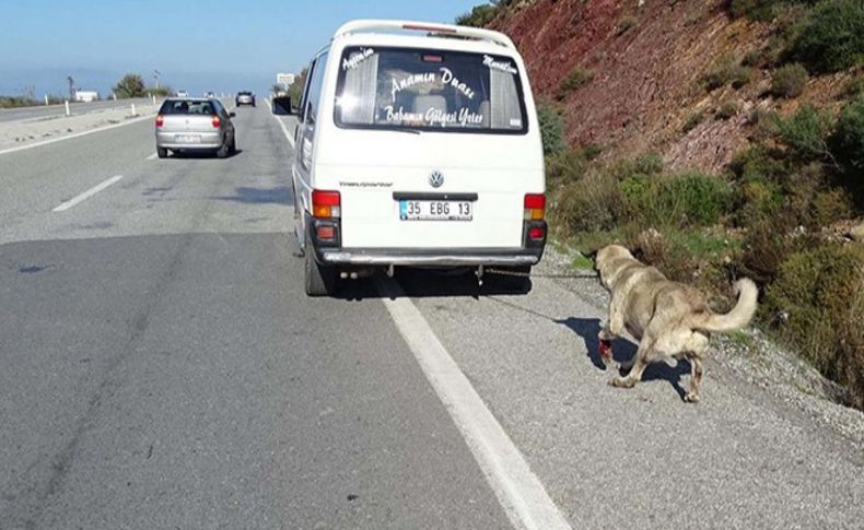 Köpeğe işkence yapana çifte ceza verildi