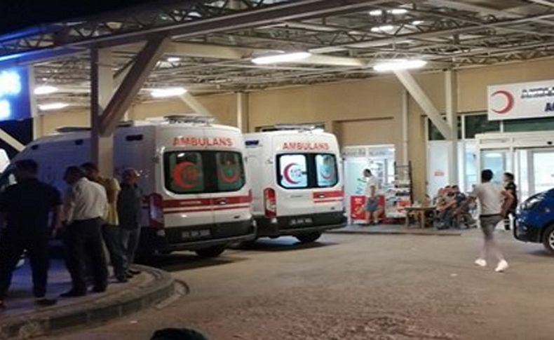 Köpeklerin dövüşmesi nedeniyle kavga çıktı: 2 ölü