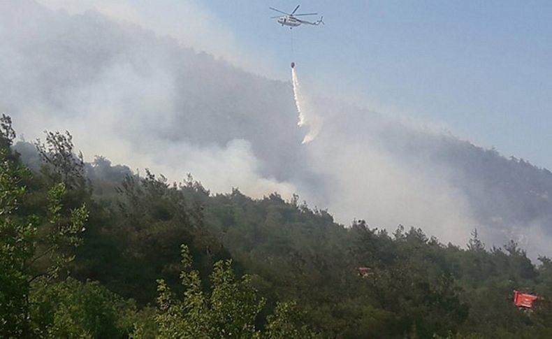 Korkutan yangın! 3 helikopter müdahale ediyor