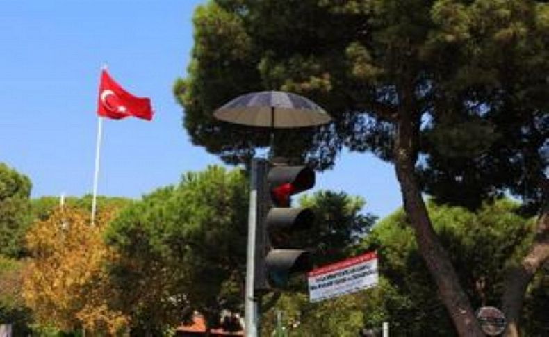 Kumruya şemsiyeli koruma yapan hayvansever ortaya çıktı