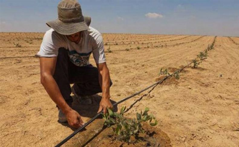 Kuraklık felaketi kapıda: Çiftçiyi zor bir yıl bekliyor