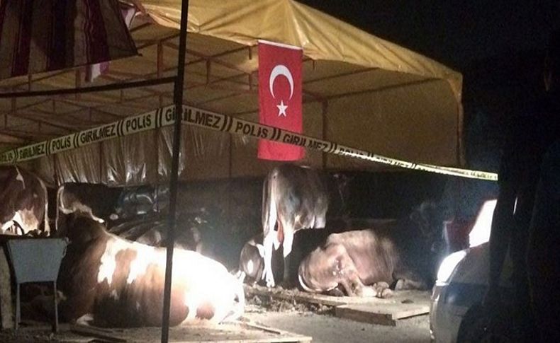 Kurban satış yerindeki katliamın davasında sanıklara ceza yağdı