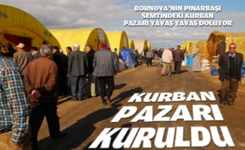 Kurban pazarı kuruldu