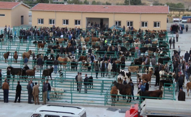 Kurbanlık için hayvan pazarları hareketlendi