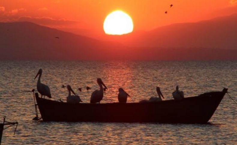 Kuş Cenneti'nde, Pelikanli Gün Batimi