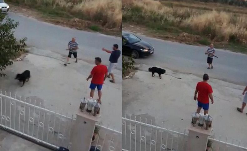 Kuşadası'nda köpeğe tüfekli saldırıya tepki