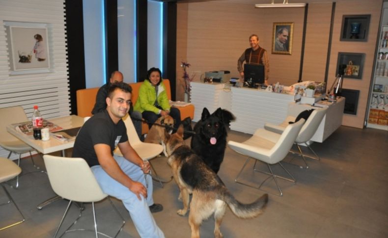 Kuşadası hayvan hastanesine kavuştu