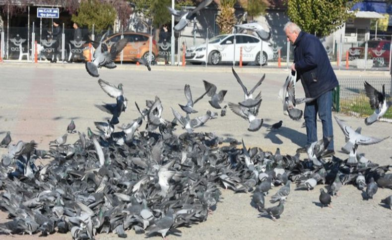 Kuşlar yolunu gözlüyor