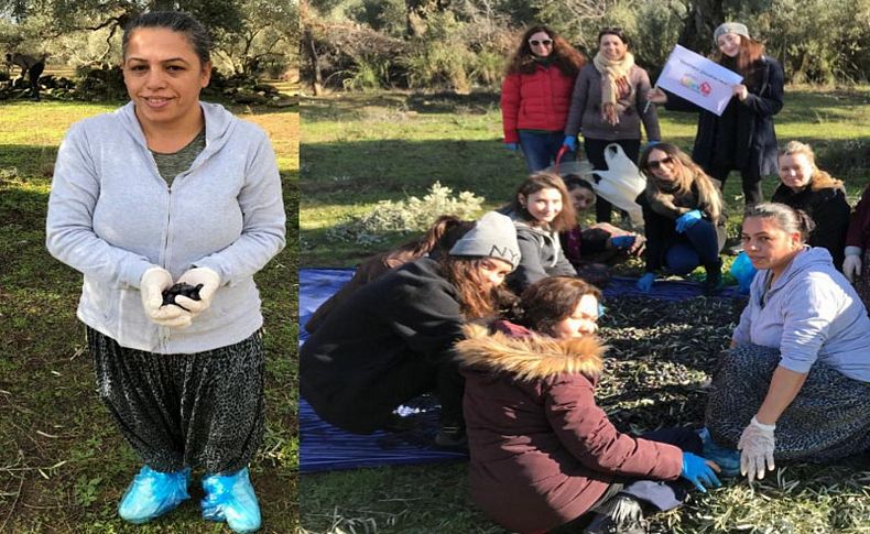 Lösemili çocuklar için imece usulü ile zeytin hasadı yaptılar