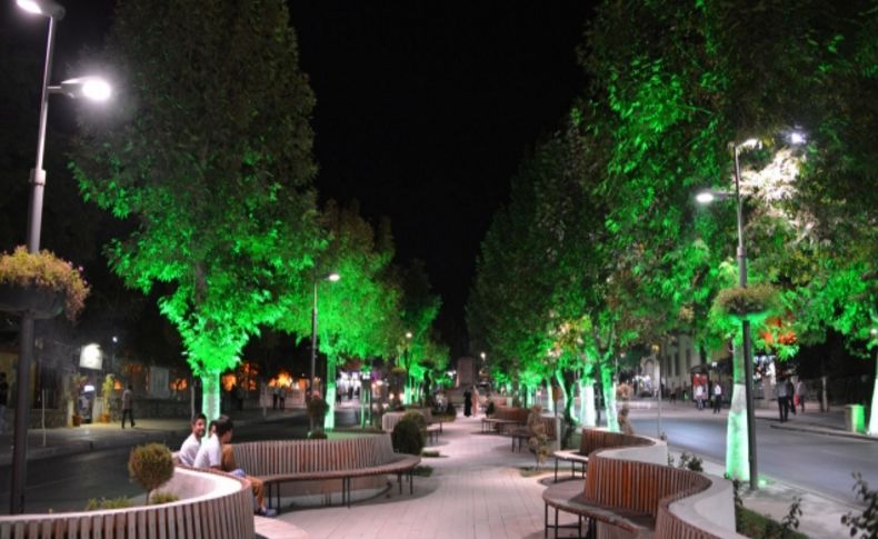 Malatya’da ağaçlar aydınlandı