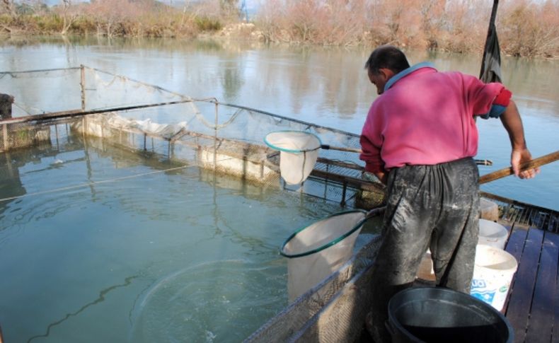 Manavgat iç sularında balık avı yasaklandı