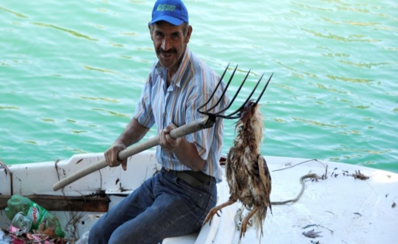 Manavgat Irmağı günlük temizleniyor