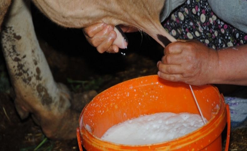 Manavgat'ta süt fiyatları 10 kuruş zamlandı