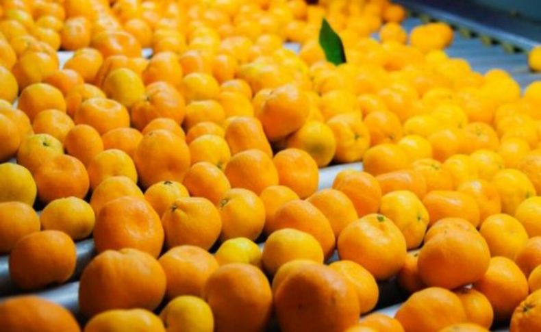Mandalina ihracatından 1 ayda 110 milyon dolar elde edildi