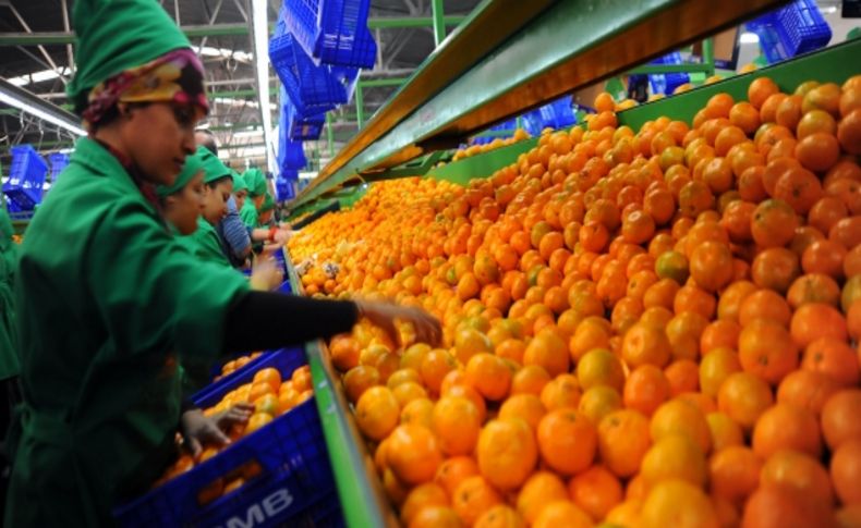 Mandalina Üreticileri Birliği Kanada’da tanıtıldı
