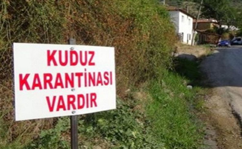 Manisa'da 'kuduz' şüphesi... Mahalle karantinaya alındı