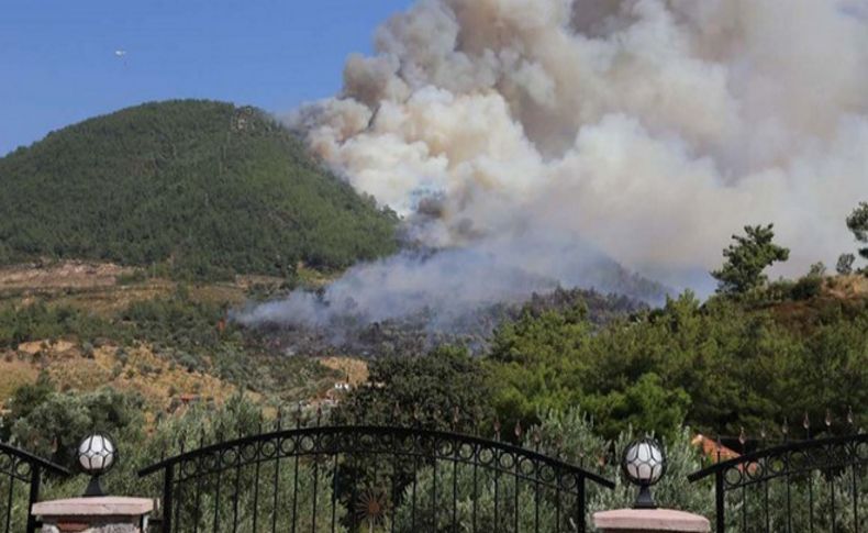 Manisa'da ormanlık alanda 461 maden izni