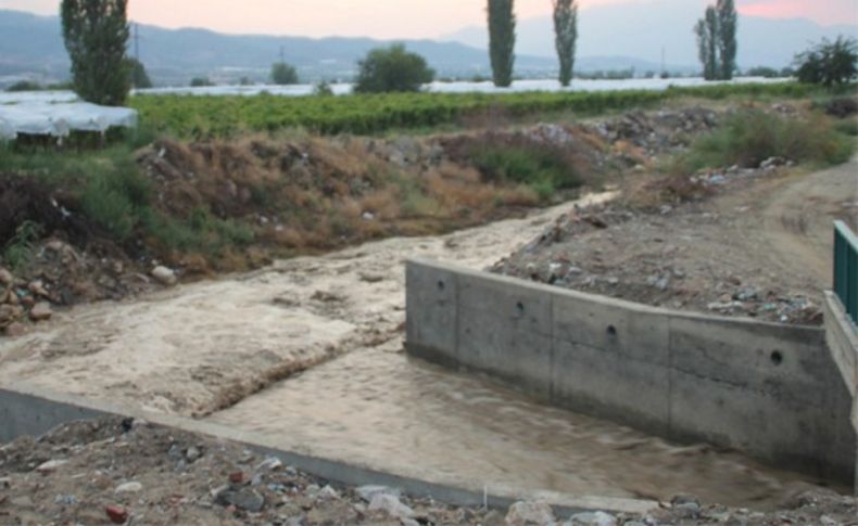 Manisa'da üzüm bağlarını sel bastı