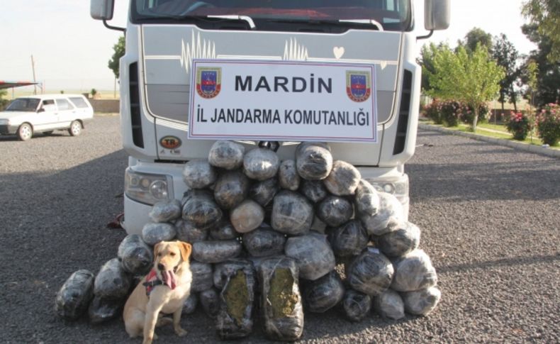 Mardin'de 170 kilo esrar ele geçirildi