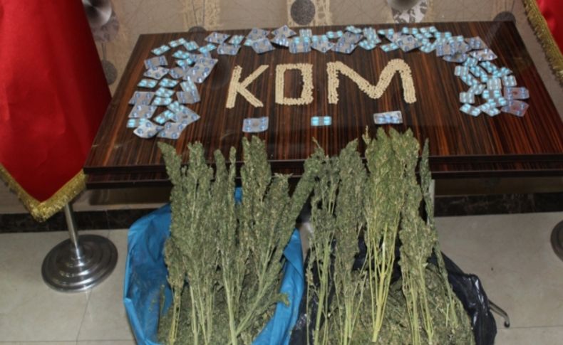 Mardin'de 45 kilogram esrar ele geçirildi