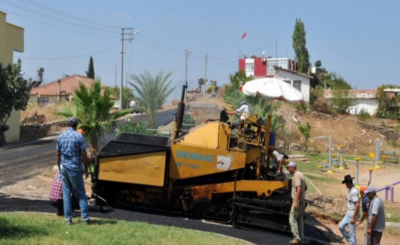 Masa Dağı etekleri güzelleşiyor