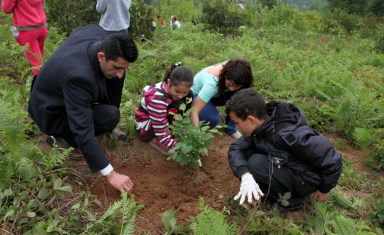 Mektup arkadaşı yaptıkları öğrencileri fidan dikiminde biraraya getirdiler
