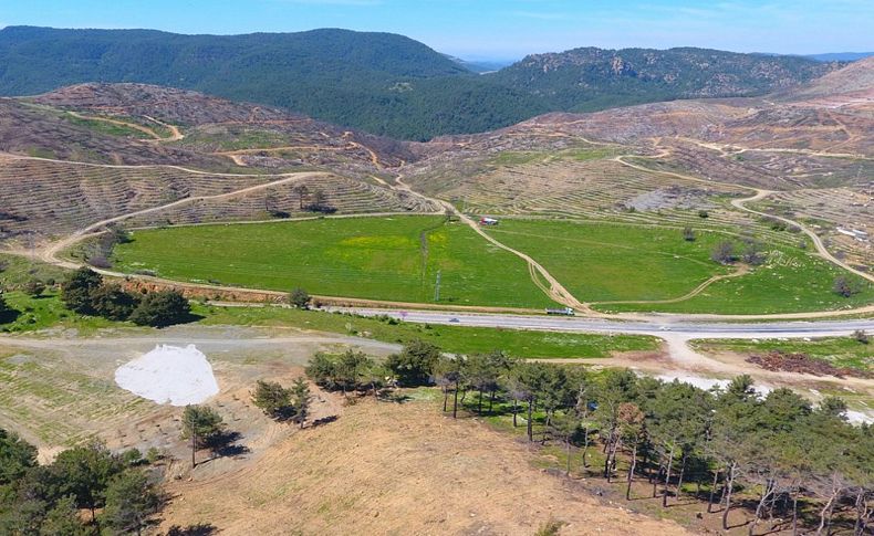 Menderes'e bereket ormanları