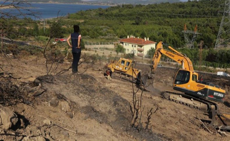 Menderes'te ağaçlandırma hazırlığı