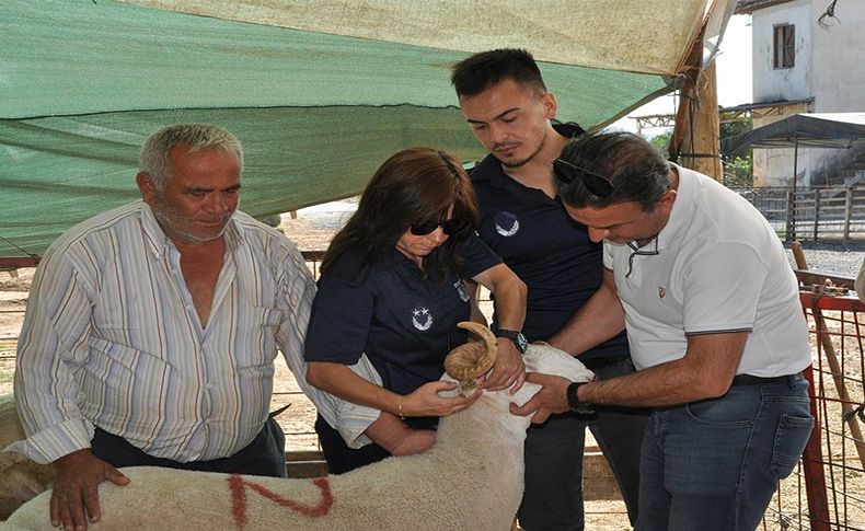 Menderes’te kurban denetimi