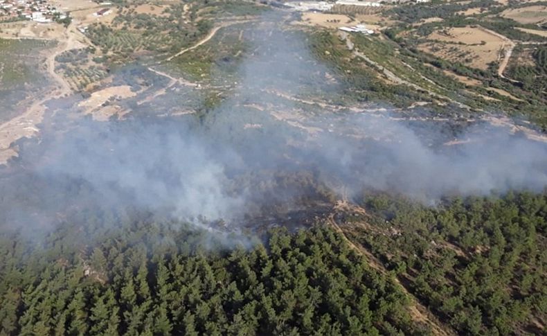 Menderes'te orman yangını