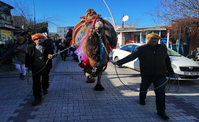 Menemen 8. Geleneksel Türkelli Deve Güreşleri’ne hazır