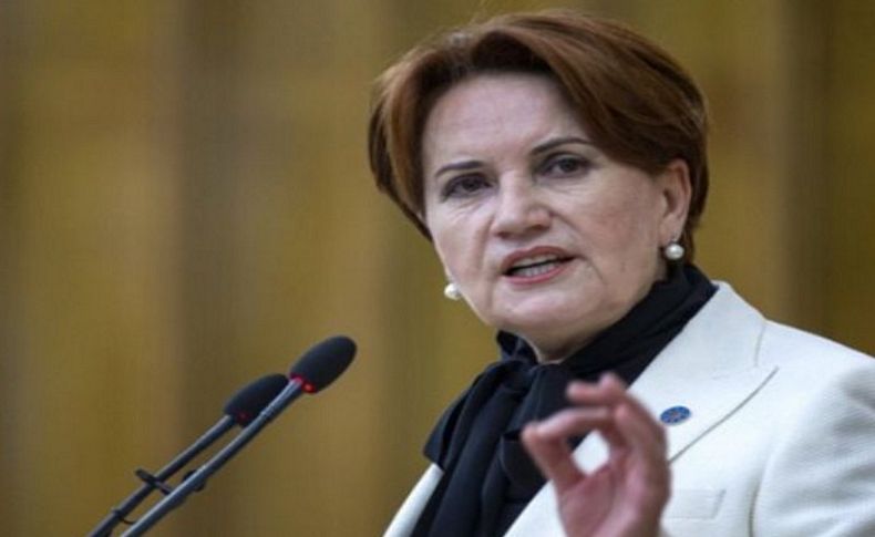 Meral Akşener Kaz Dağları'na gidiyor