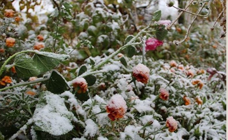 Meteoroloji'den çiftçilere 'zirai don' uyarısı