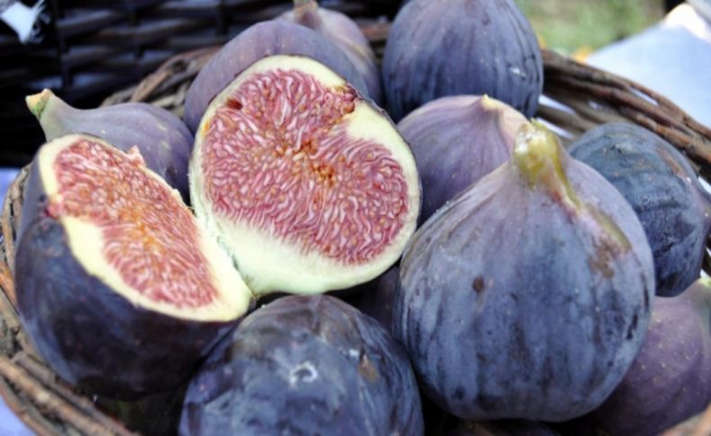 Meyvelerin dayanıklılık süresini artırıp ihraç ediyor