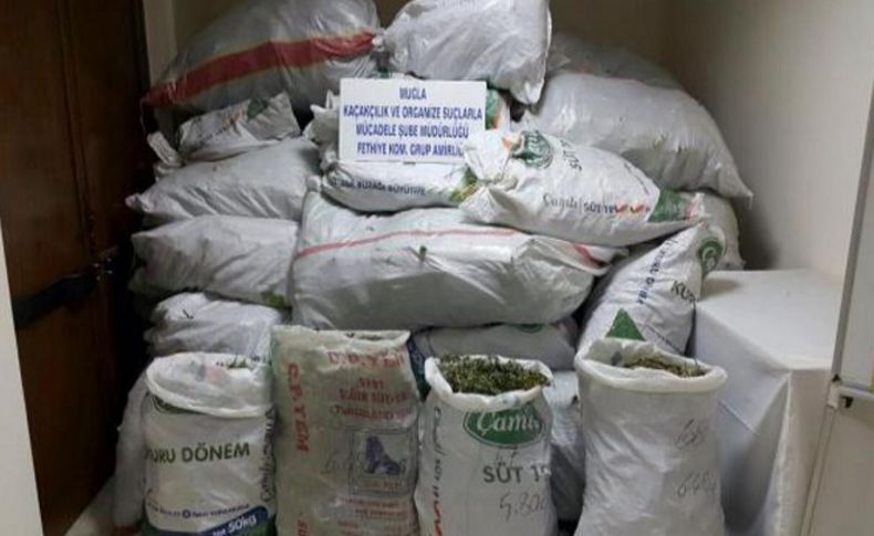 Muğla'nın en büyük uyuşturucu operasyonu