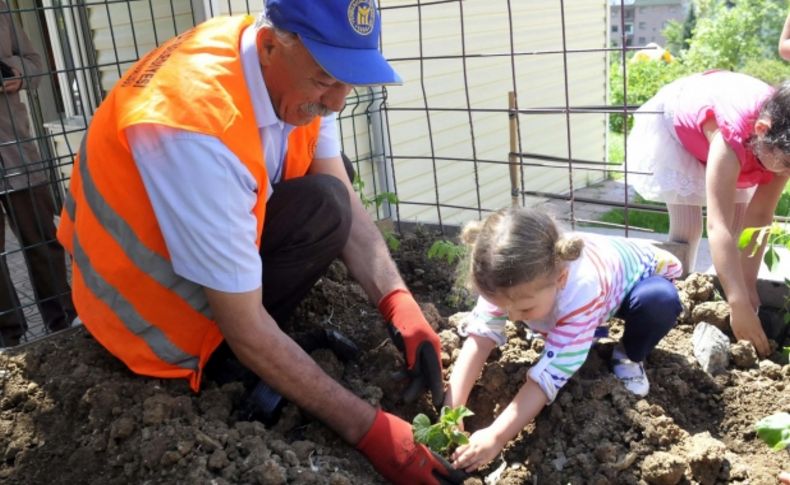 Minik çiftçiler iş başında