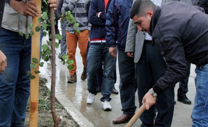 MKÜ'de Kutlu Doğum Ormanı oluşturuldu
