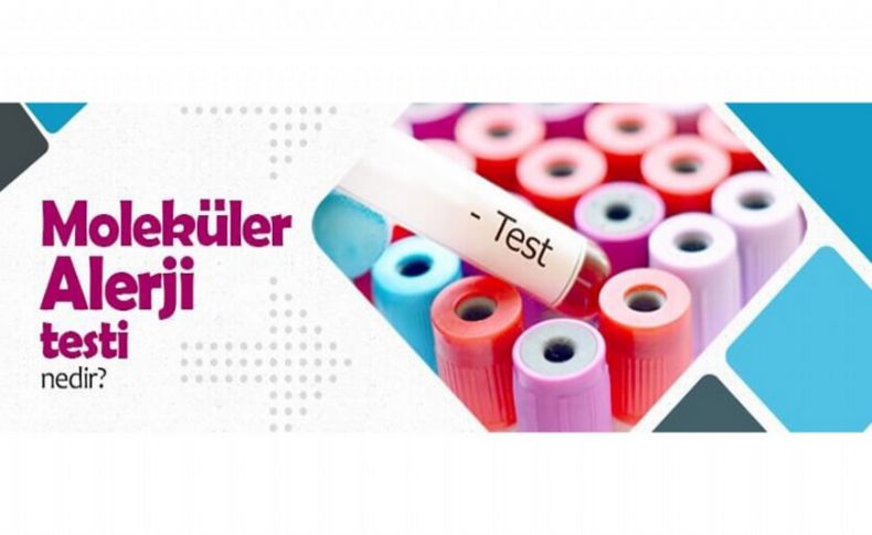 Moleküler alerji testi nedir'