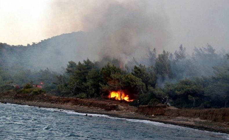 Muğla'da orman yangını