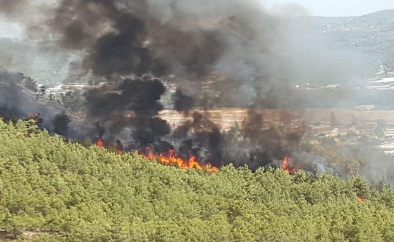 Muğla’da üçüncü yangın Fethiye’de