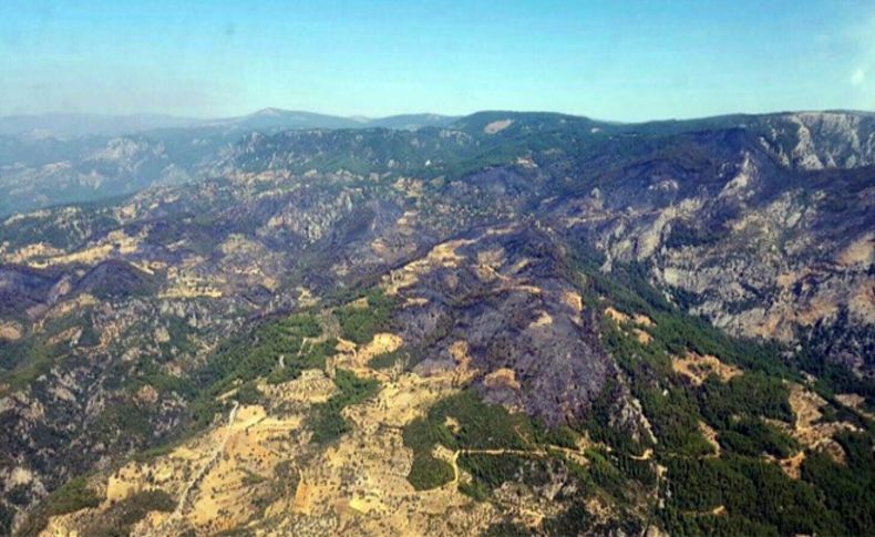 Muğla'daki yangının bilançosu ağır oldu