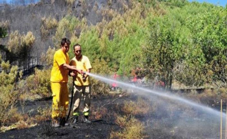 Muğla’da 2 hektar orman yandı