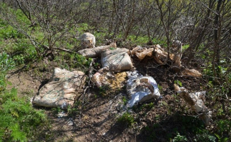 Muş'ta PKK'nın erzak deposu bulundu
