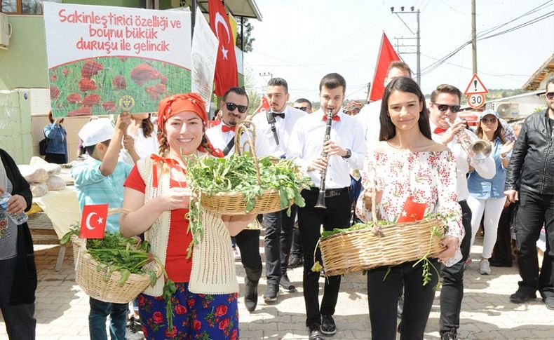 Nif Dağı’nın lezzetli otları şenlendi