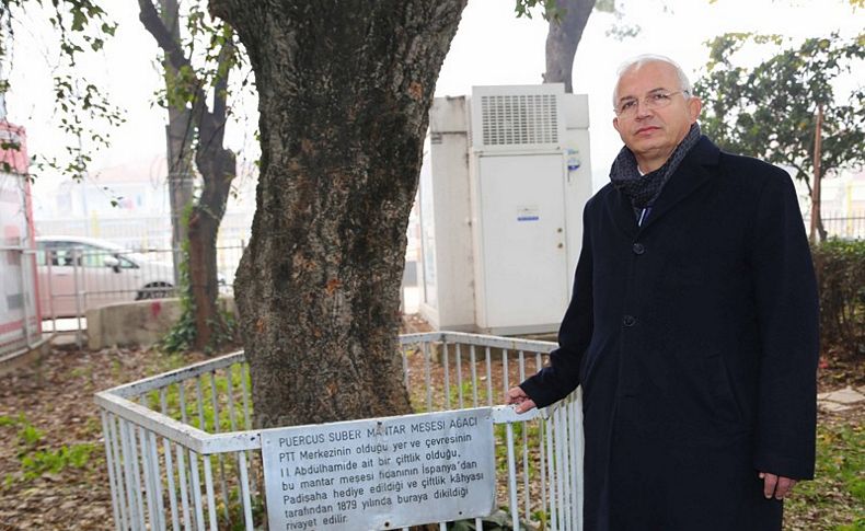 O ağaç proje değiştirdi